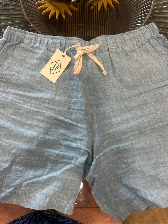 Alex Crane Other - Alex Crane Light Blue Drawstring Hybrid Shorts